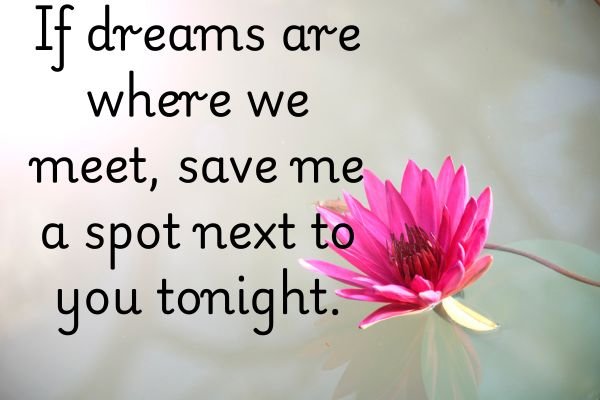 Good Night Friendship Message For Her